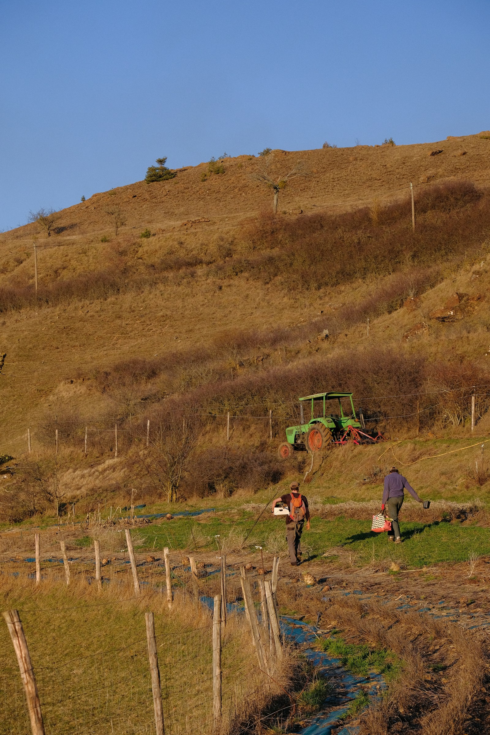Duas pessoas trabalhando em uma área agrícola com um trator